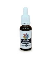Energie rostlin Bachovy esence - Směs č. 6 - Intuice a odpovědnost (20 ml)
