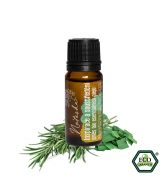 Natasha Směs esenciálních olejů (10 ml) - Inspirace a soustředění