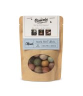 Blossombs Semínkové bomby v papírovém sáčku - mix barev (10 ks) - semínka bio lučního divokého kvítí