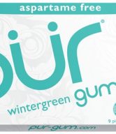 Pür Gum Žvýkačky Wintergreen (9 ks) - bez aspartamu a škodlivých látek