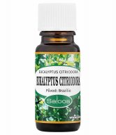 Saloos Esenciální olej Eukalyptus citriodora (10 ml) - čistí a osvěžuje vzduch