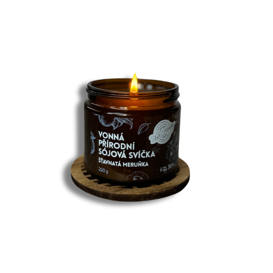 377_prirodni-vonna-sojova-svicka-stavnata-merunka