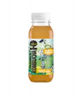 Kombucha zelený čaj s citrónem a zázvorem 250 ml   UGO