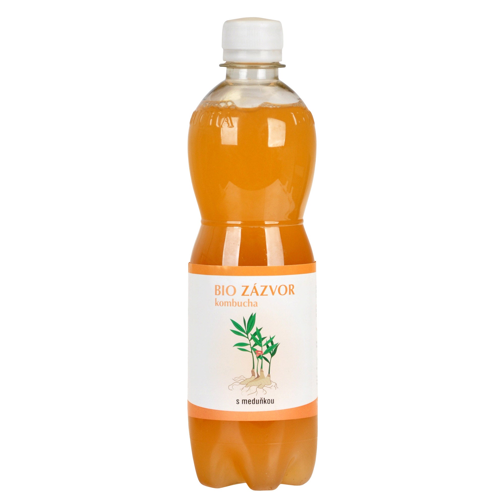 Kombucha zázvorová s meduňkou 500 ml BIO STEVIKOM Kombucha zázvorová s meduňkou 500 ml BIO STEVIKOM