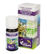 Éterický olej eukalyptus globulus 10 ml BIO   DOCTEUR VALNET
